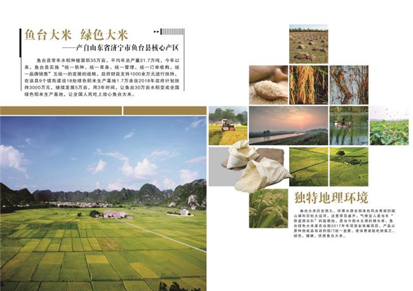 魚(yú)臺(tái)綠色大米