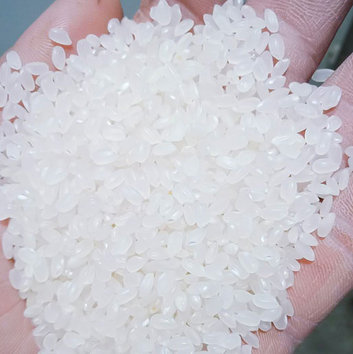 秋田小町米煮粥好吃嗎